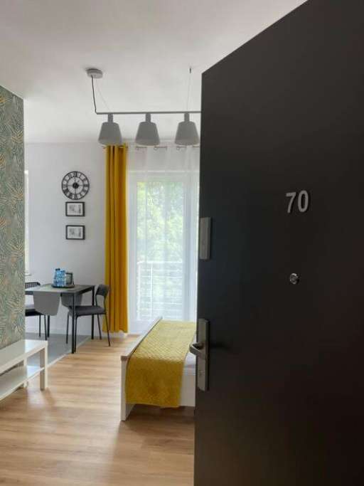 Apartament Słoneczny - Lodz