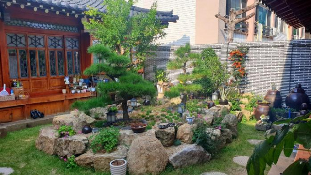 Hanok1957 - Daegu