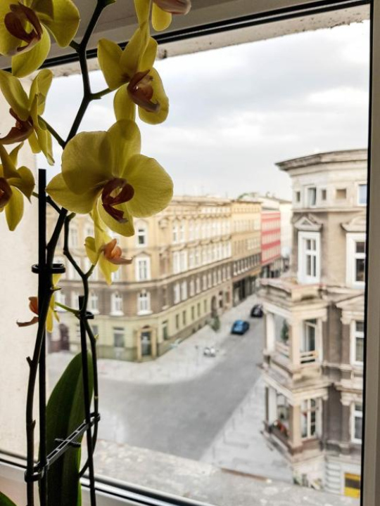 Luksusowe Apartamenty w Centrum Szczecina - Szczecin