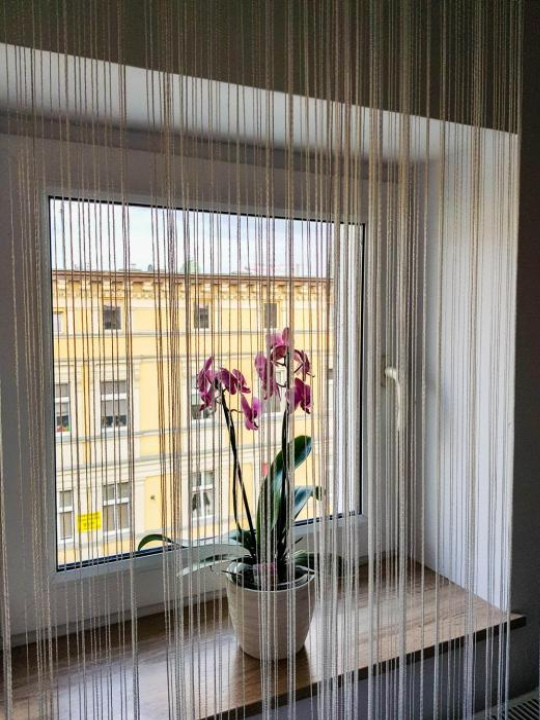 Luksusowe Apartamenty w Centrum Szczecina - Szczecin