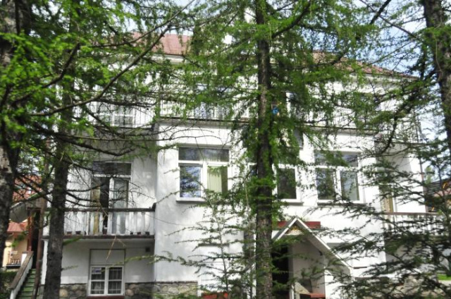 Willa Złocin Hotel - Zakopane