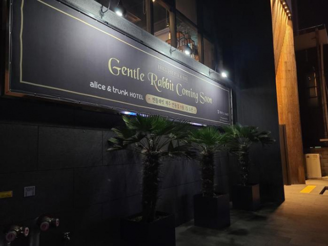 Hotel Alice and Trunk - Jeju