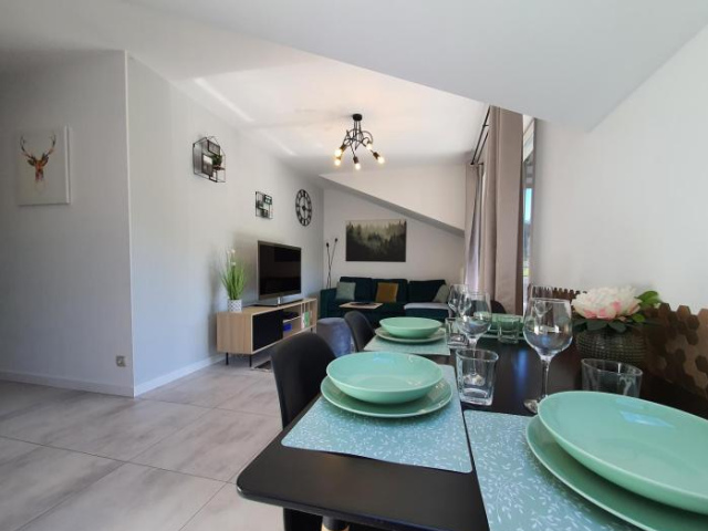 Apartamenty Ski & Fun Spokojna - 維斯瓦