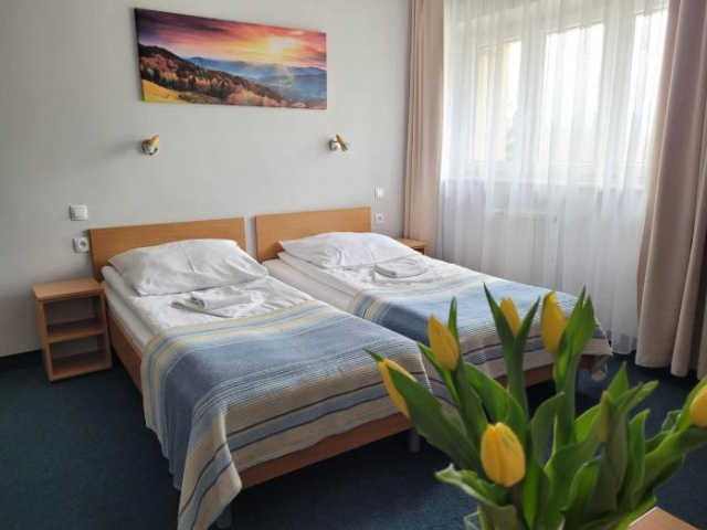 Hotel *** NAT Wisła - 維斯瓦