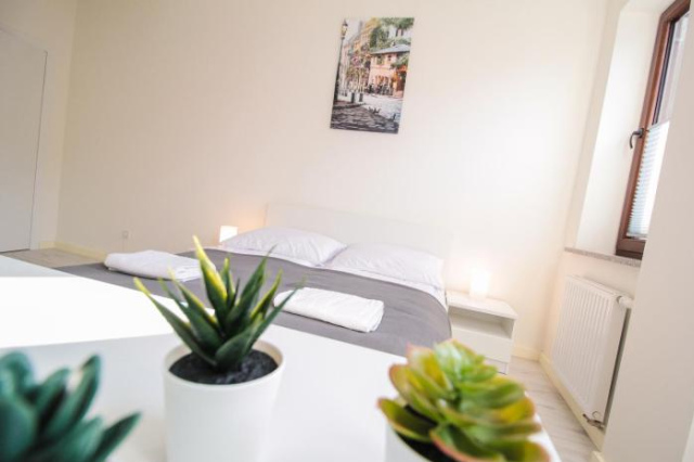 Apartament City Center Classic - Luxury Standard - 克雷尼察