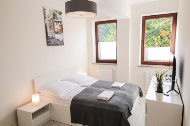 Apartament City Center Classic - Luxury Standard - 克雷尼察