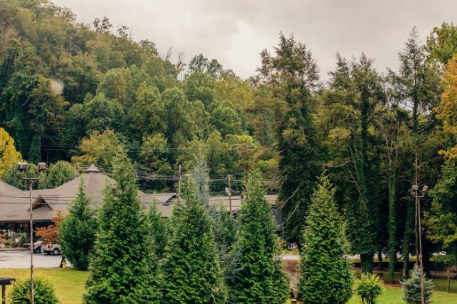 Brookside Lodge - Gatlinburg - On the River - Gatlinburg