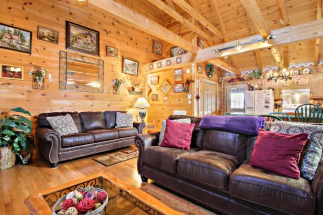 Alpine Ski Lodge, 2 Bedrooms, Sleeps 6, Near Ober Gatlinburg, Hot Tub - 加特林堡