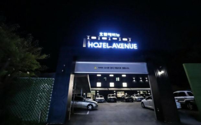 Yongin Avenue Hotel - 京畿道