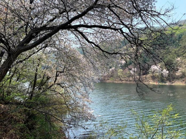 Mirinae Lakeside Private Pension - Gyeonggi Province