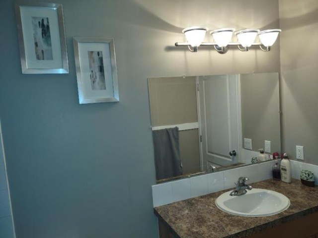 Spacious One-Bedroom Walkout Basement Suite - Calgary
