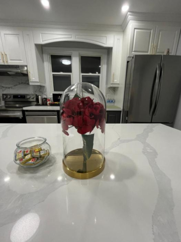 Modern Luxury Home - 10 Minutes Walk to the FALLS