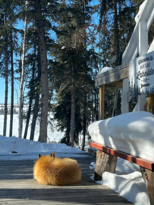 Great Slave Lakeside Bed & Breakfast - Yellowknife