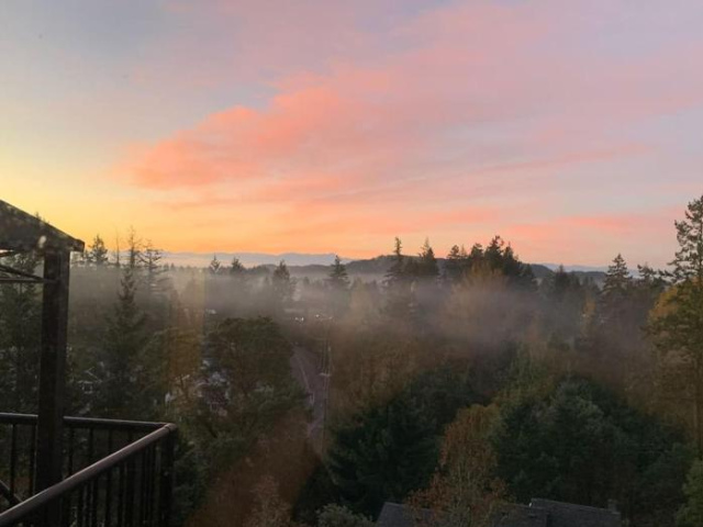 What a View! - Victoria