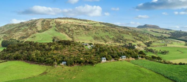 Mohua Park - Catlins Eco Accommodation - 奧塔哥大區