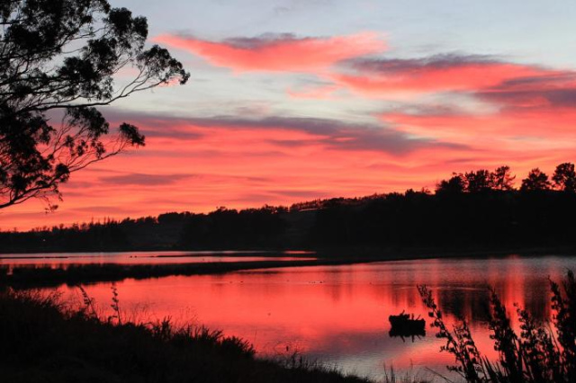 The Bird Hide - rustic luxury by the water - Otago