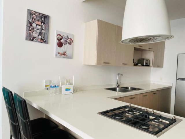 Premier apartment in the heart of Mexico 404 - Mexico City