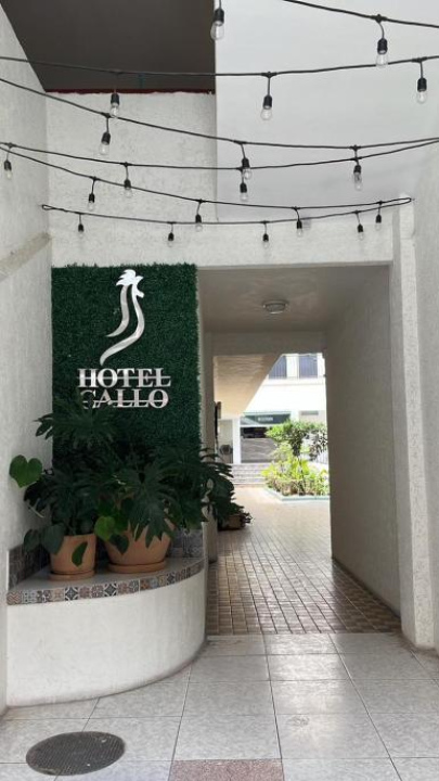 Hotel Gallo - Guadalajara