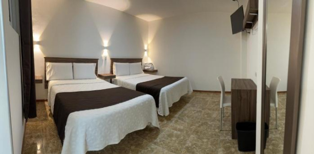 Hotel Royal Puebla - 普埃布拉