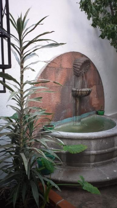 Hostal Azul Puebla Centro Histórico - 普埃布拉