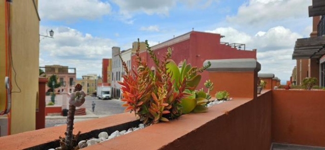 Dpto Las Suculentas, pet friendly & big pool - San Miguel de Allende