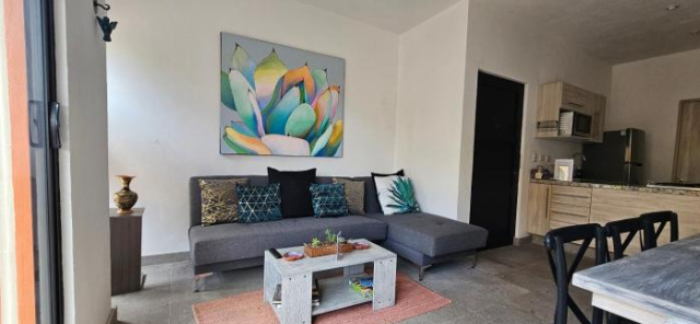 Dpto Las Suculentas, pet friendly & big pool - San Miguel de Allende