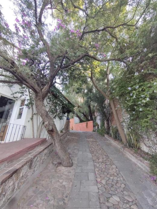 Laica House - San Miguel de Allende