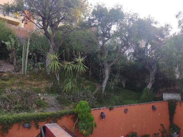 Laica House - San Miguel de Allende