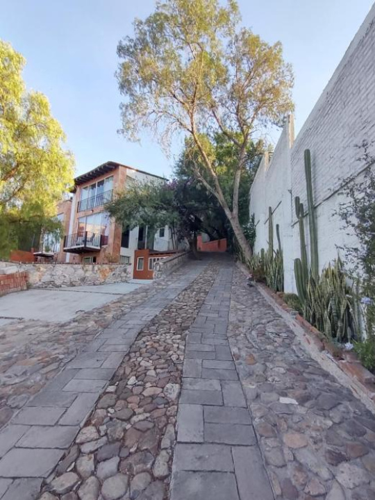 Laica House - San Miguel de Allende
