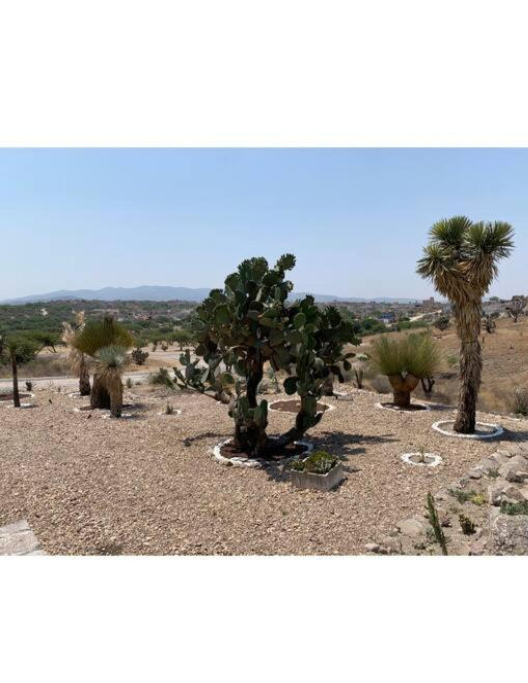 Spectacular Modern Estate in Valle de Los Senderos - San Miguel de Allende