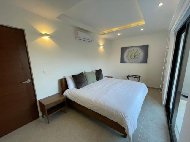 Coco Suites - Luxury apartment near to 5th av and beach - 普拉亞德爾卡曼