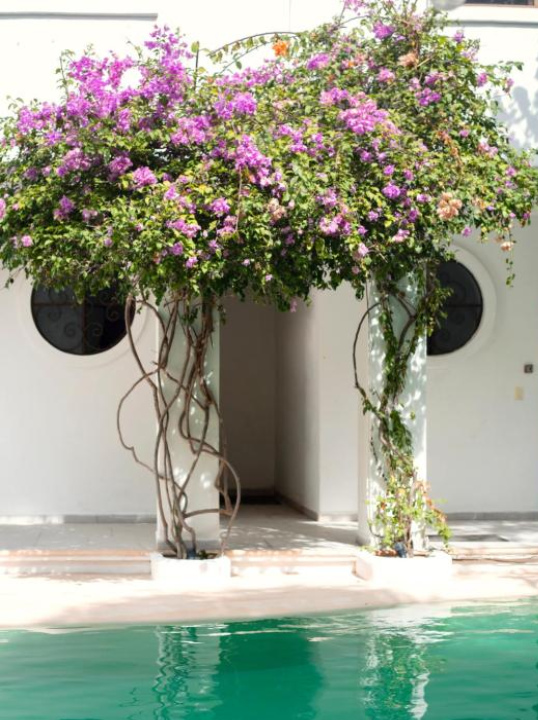 Sonido del mar Hotel Boutique & Yoga Loft - Tulum