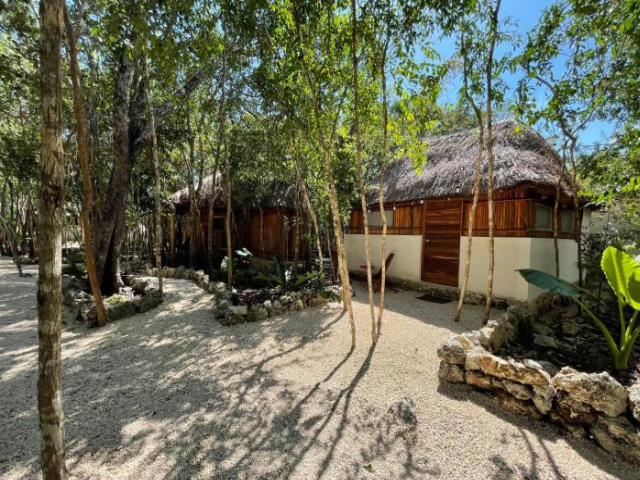 Bayou - Tulum