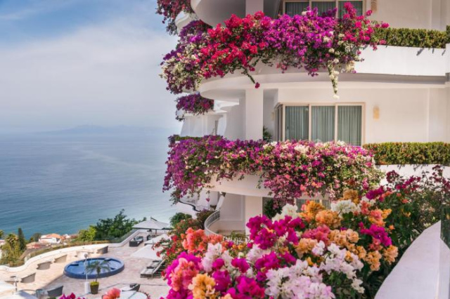 Grand Miramar All Luxury Suites & Residences - Puerto Vallarta