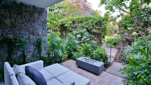 Amomoxtli - Tepoztlan