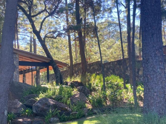 Xomue - Valle de Bravo