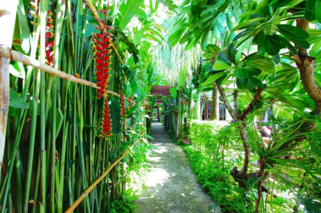 Shewe Wana Suite Resort - Chiang Mai