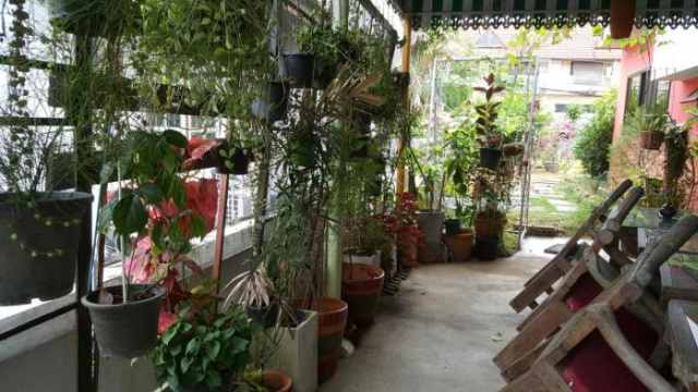 Chiang Mai Barn Vacation Home - Chiang Mai