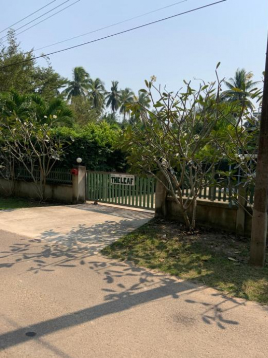 The Leaf Bankrut - Pranburi