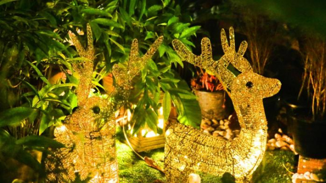 Aiyaree Place Hotel SHA PLUS - Jomtien