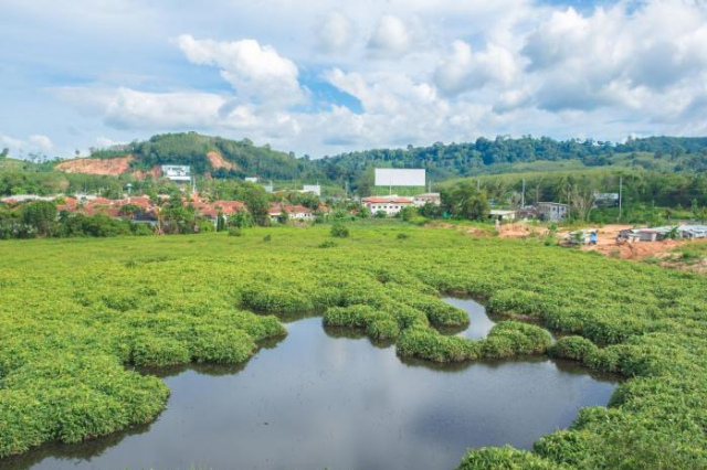 Sugar Marina Resort -AVIATOR- Phuket Airport - SHA Extra Plus - Phuket