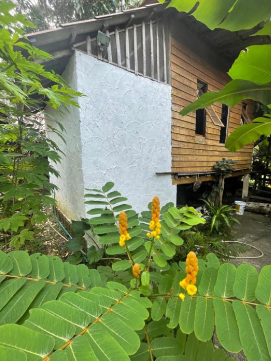 Happy Hippy House - Koh Chang