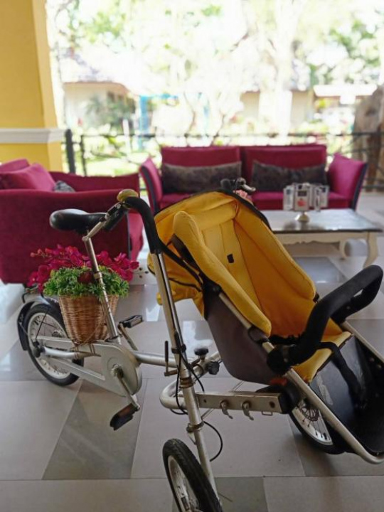 Chiangkhong Teak Garden Riverfront Onsen Hotel- SHA Extra Plus - Northern Thailand
