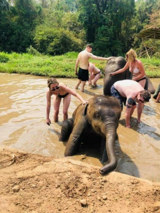 Ma Wen Resort - Northern Thailand