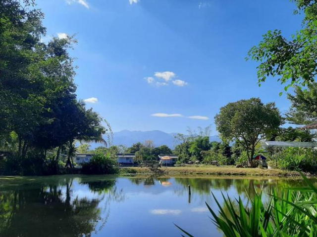 Bueng Pai Farm - Northern Thailand