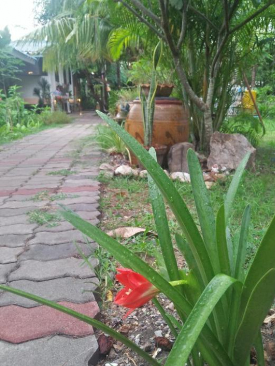 Bantangkwa Inn - Samut Songkhram