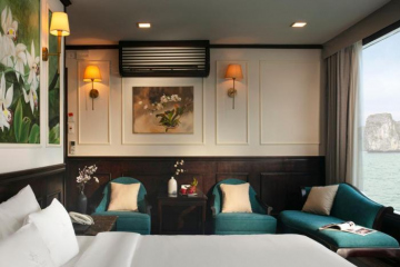 Orchid Trendy Cruise