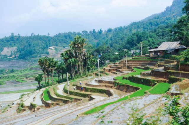 Topas Riverside Lodge - Sapa