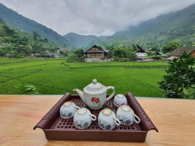 Organic Farm Homestay - Sapa