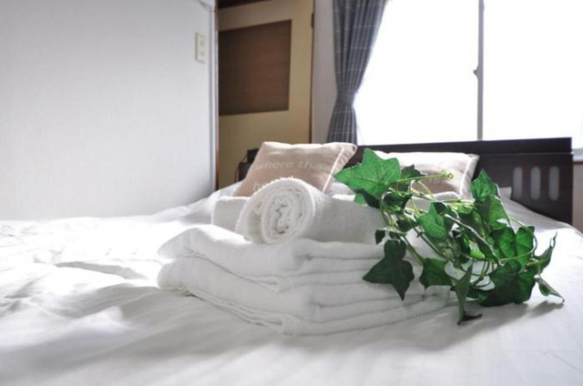 New Heights Sanwa - Vacation STAY 10083 - 札幌